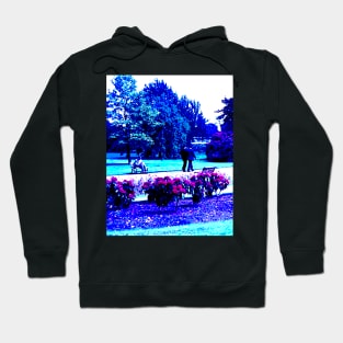 The Walk in the Park! Hoodie